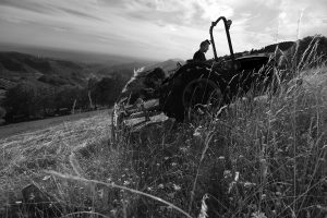 Documentary Photography